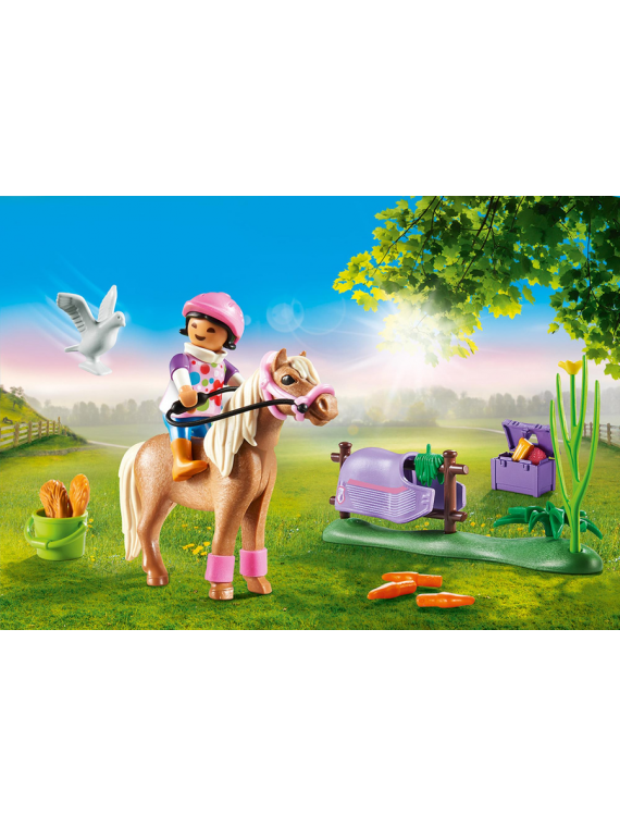 PLAYMOBIL 70514 Cavalière et poney islandais