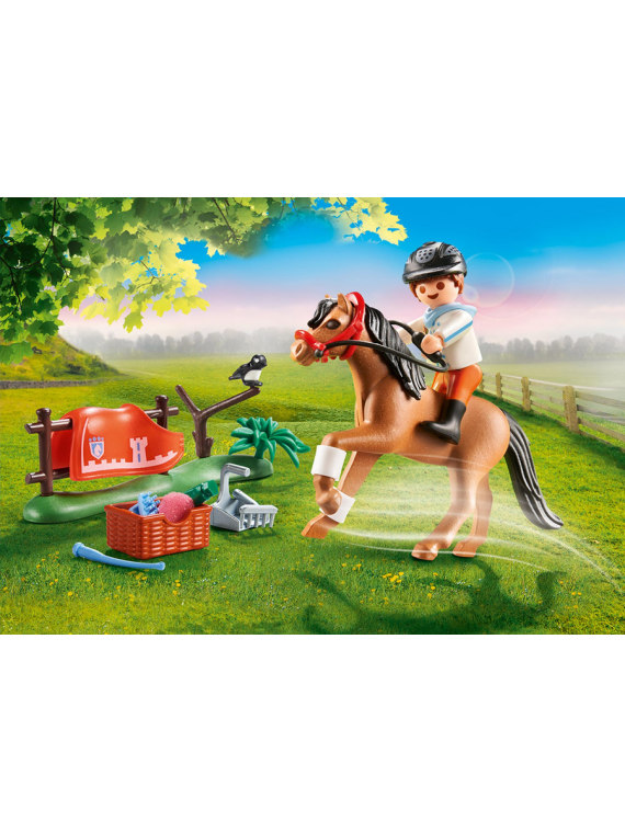 PLAYMOBIL 70516 Cavalier et poney Connemara