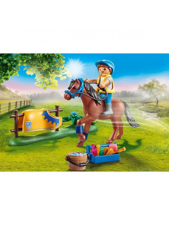 PLAYMOBIL 70523 Cavalier avec poney brun