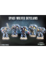 WARHAMMER 40K SPACE WOLVES SKYGLAWS