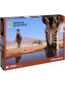 CLEMENTONI PUZZLE NATIONAL GEOGRAPHIC ZEBRE AU BORD DE L'EAU 1000 PIECES 94916