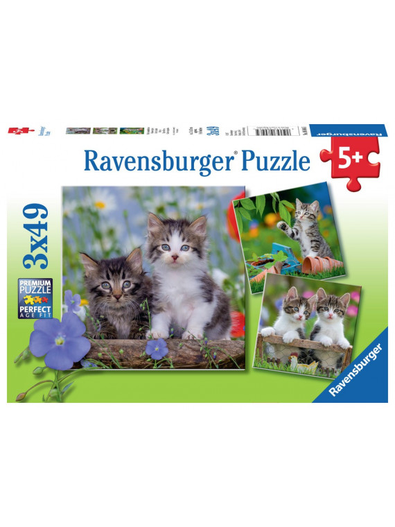 PUZZLE RAVENSBURGER CHATONS 3 X 49 PIECES  080465