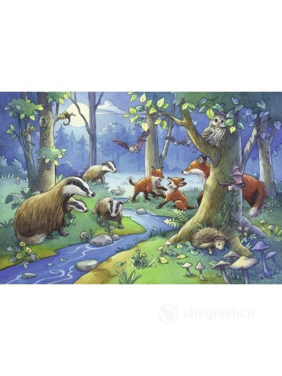 Ravensburger Puzzle 24 pièces 2 Puzzles  Animaux de la Forêt 091171