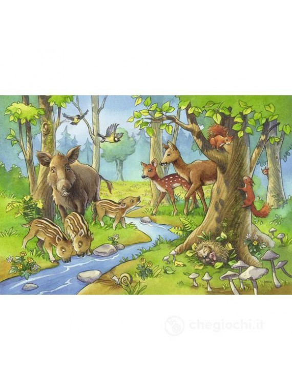 Ravensburger Puzzle 24 pièces 2 Puzzles  Animaux de la Forêt 091171