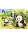 RAVENSBURGER PUZZLE KOALAS PANDAS 2X24 PIECES 078202