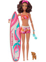 Barbie Coffret Surf Poupée Brune avec chiot HPL69