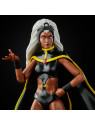 Hasbro Marvel Legends X-Men Edition Collector 2 Figurines 15 cm Storm et Marvel'